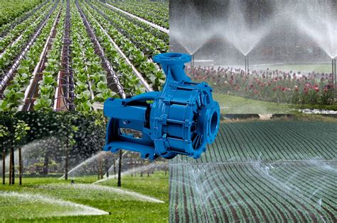 centrifugal pump irrigation system|best irrigation pump for sprinkler system.